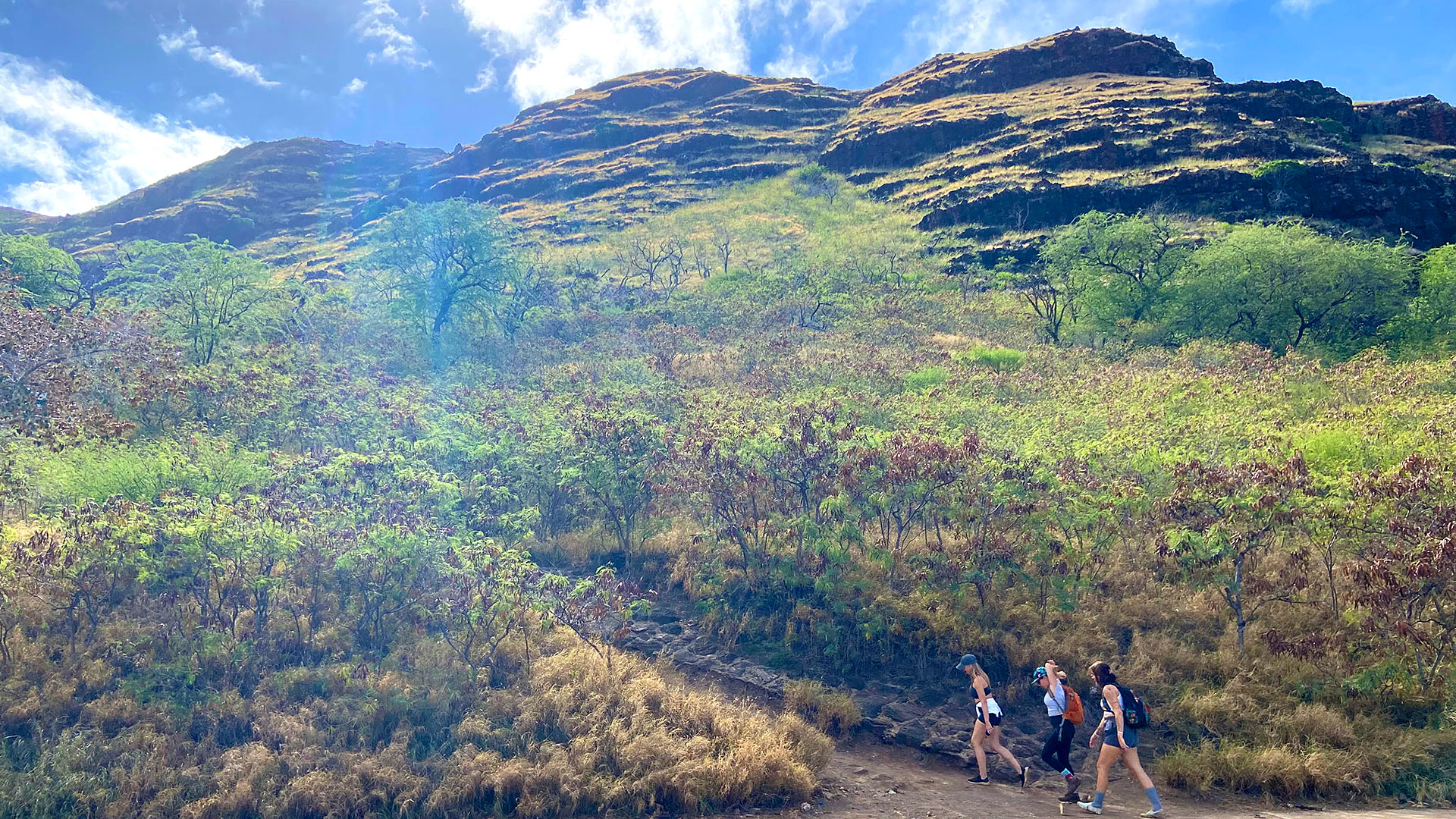 ピンクピルボックス