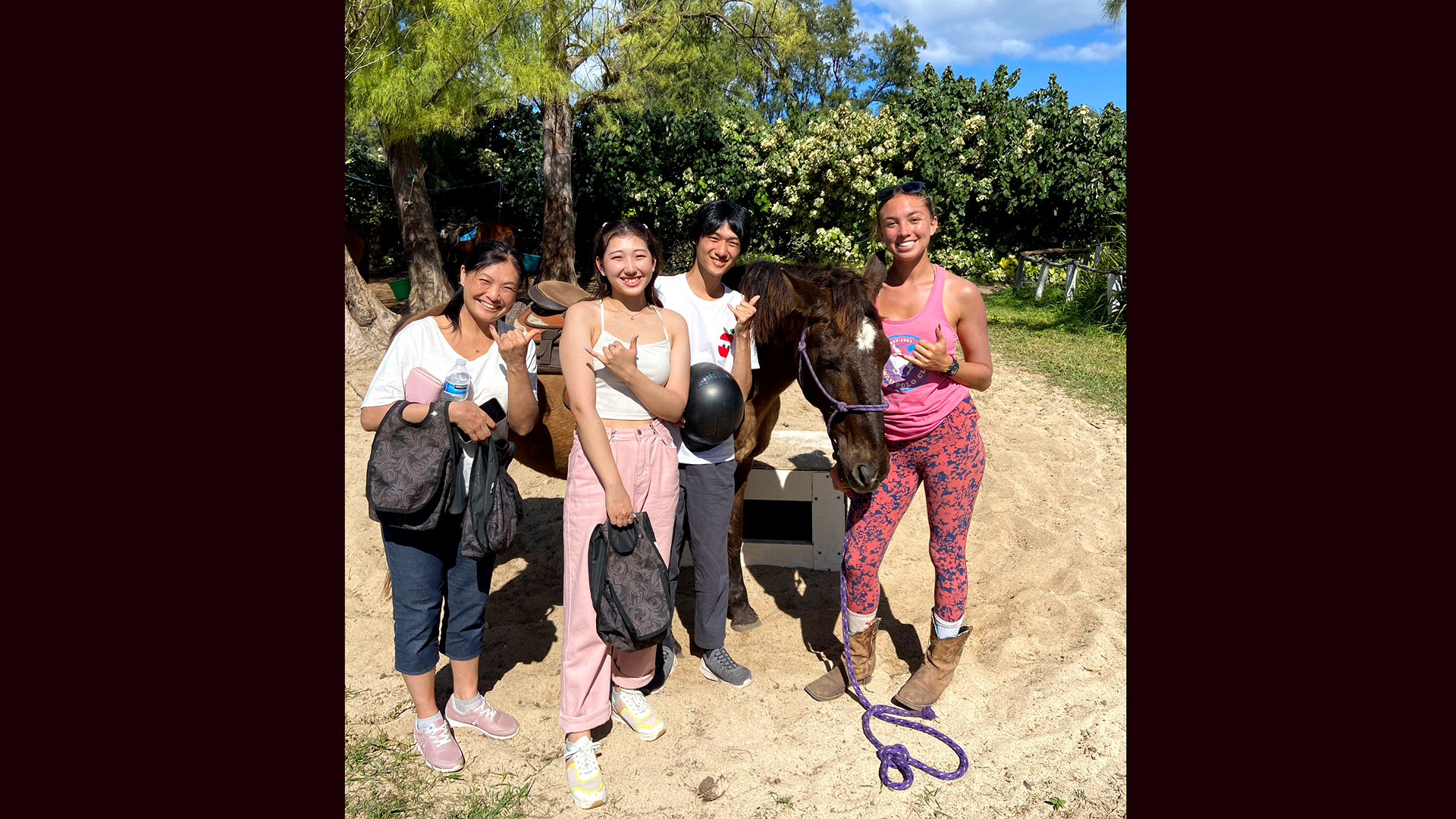 ノースショア乗馬&ハレイワ観光