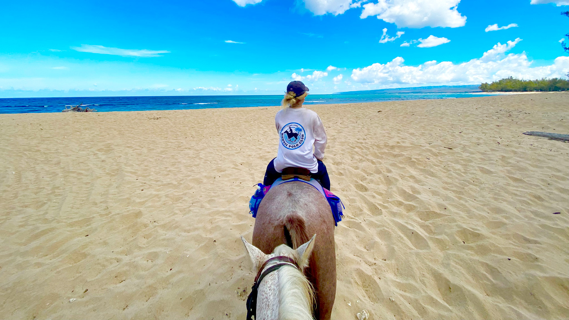 ノースショア乗馬&ハレイワ観光