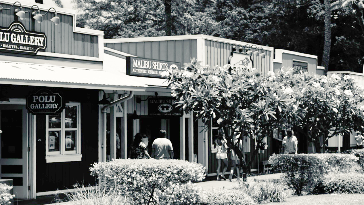 ノースショア乗馬&ハレイワ観光