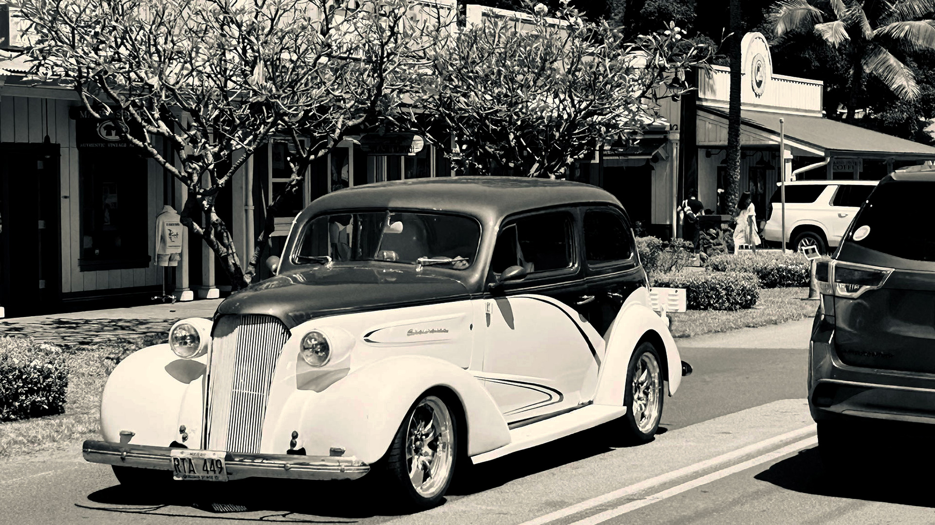 ノースショア乗馬&ハレイワ観光