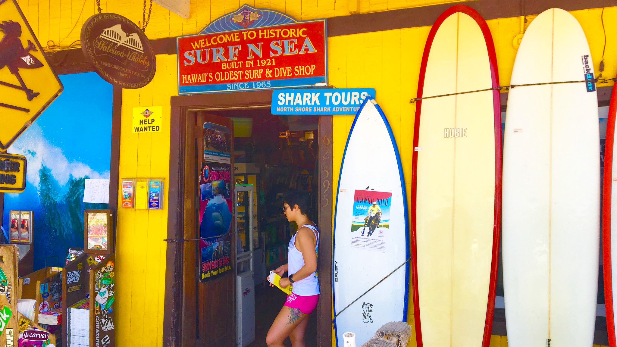 ノースショア乗馬&ハレイワ観光